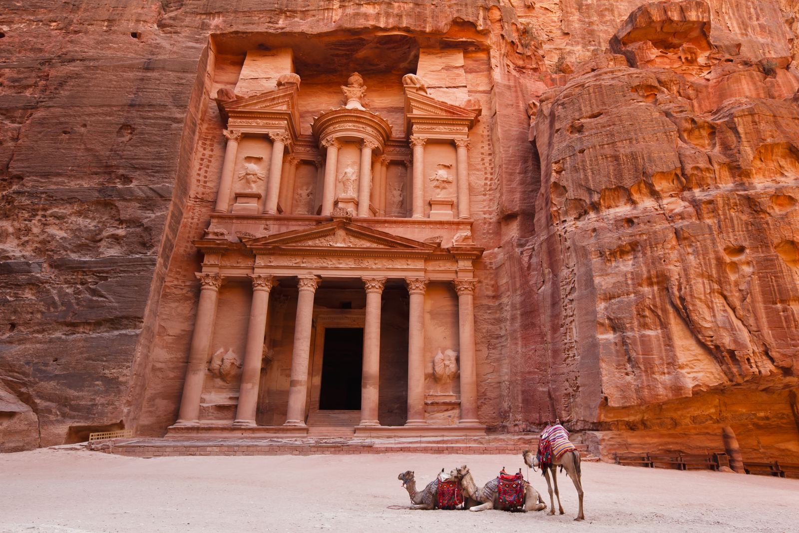 El Tesoro (Al Khazneh) de Petra y dromedarios